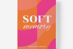 Álbum Soft Memory intro