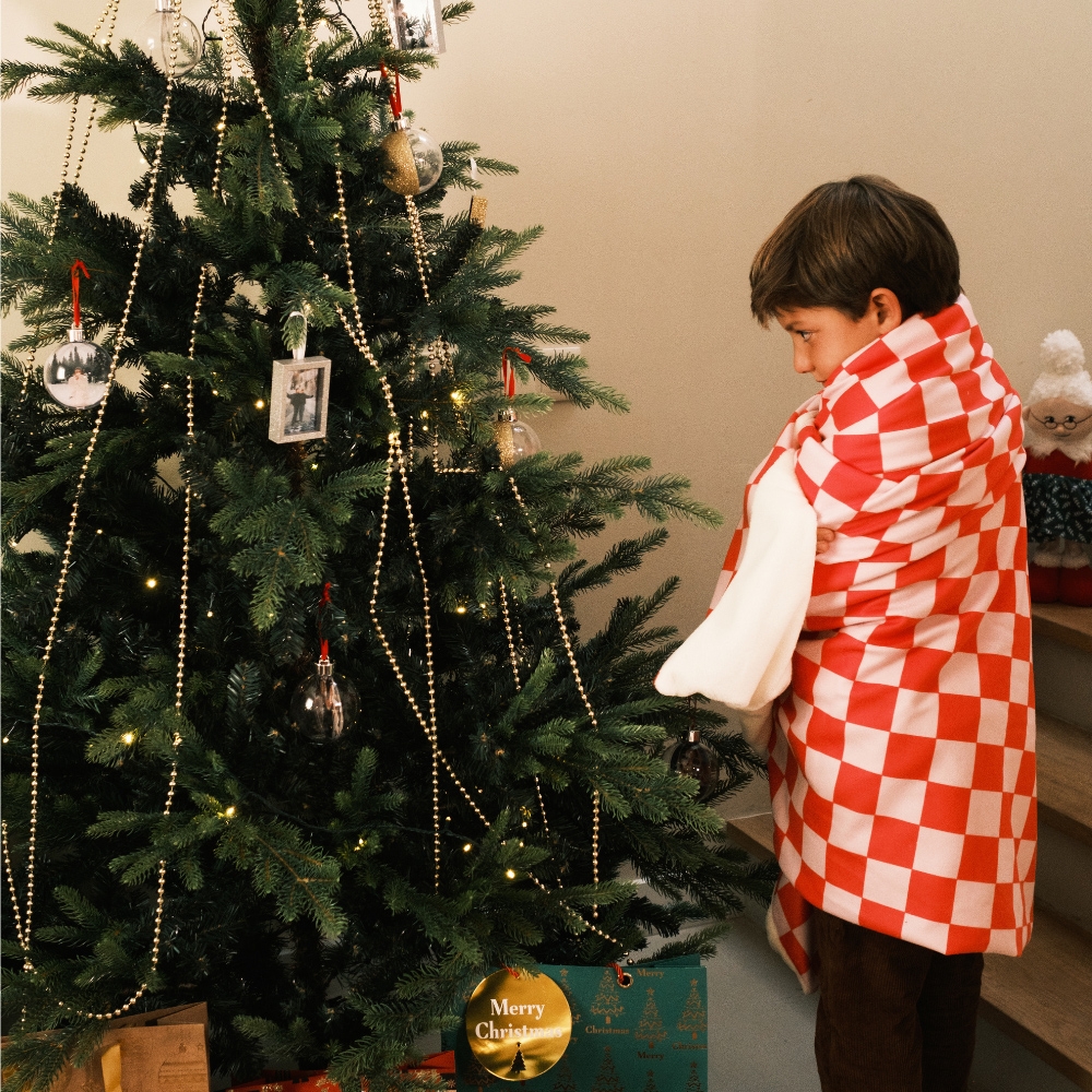 Almofada Feliz Natal inspiração 9